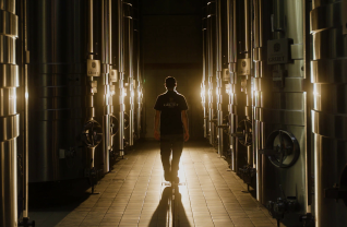 Advice from our cellar master